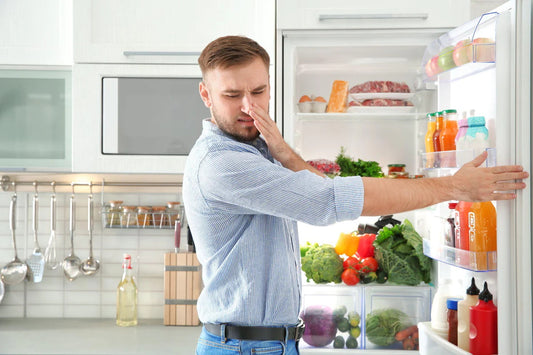 Why Is Mold Growing in Your Refrigerator Water Filter?